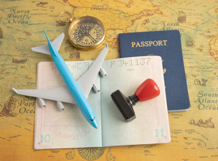 Visa Processing